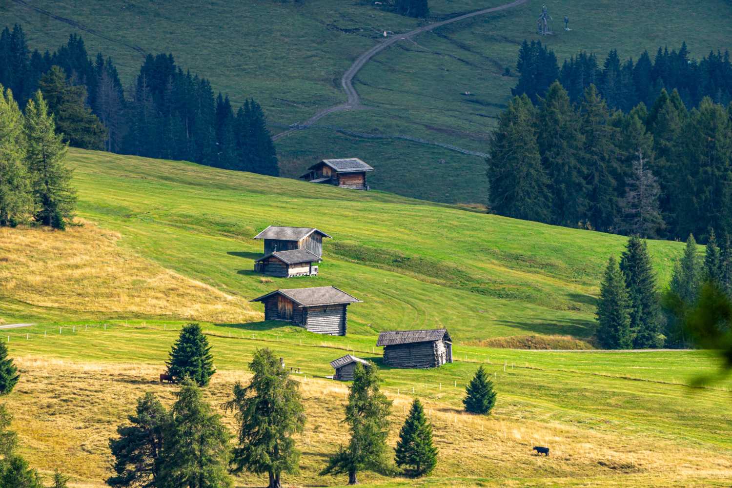 能源管理系統(tǒng)，城市綠色發(fā)展，節(jié)能減排