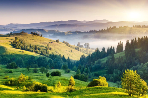 達(dá)成“雙碳”目標(biāo)不只是“減碳”！(圖1)